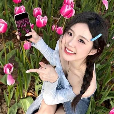 凤舞龙翔